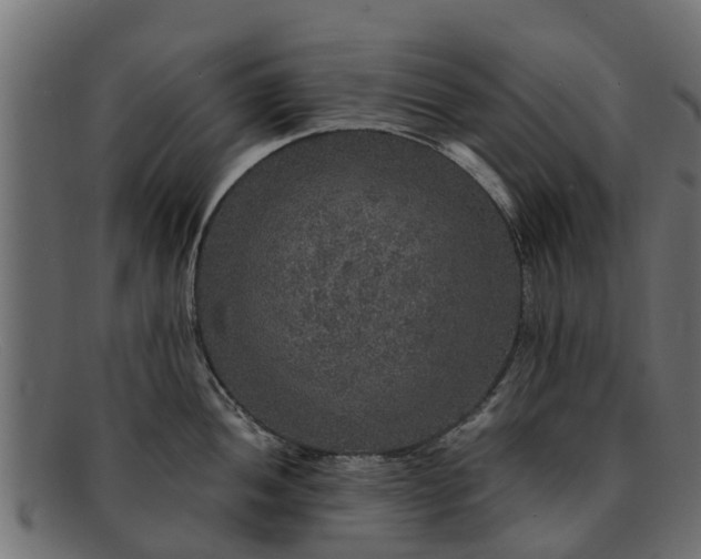 X0000091941052200709191416