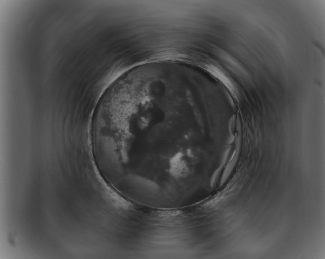 X0000091941055200709191416