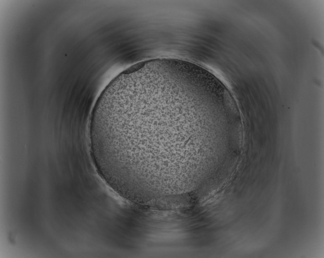 X0000091941056200709191416