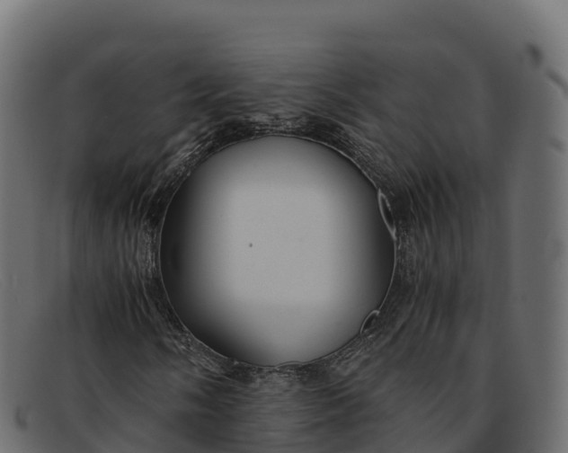 X0000091941058200709191416