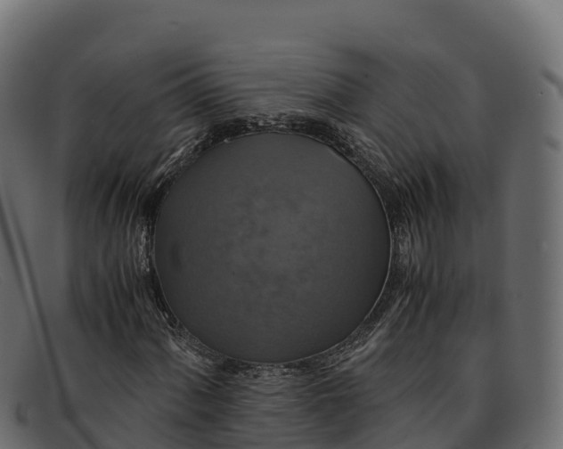 X0000091941060200709191416