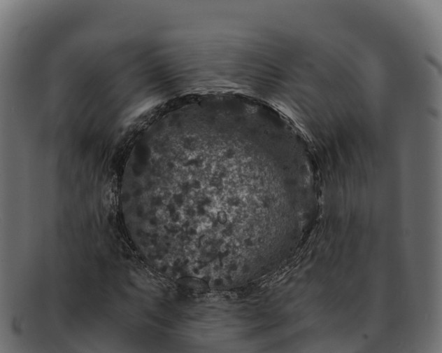 X0000091941063200709191416