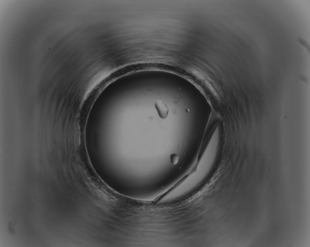 X0000091941069200709191416