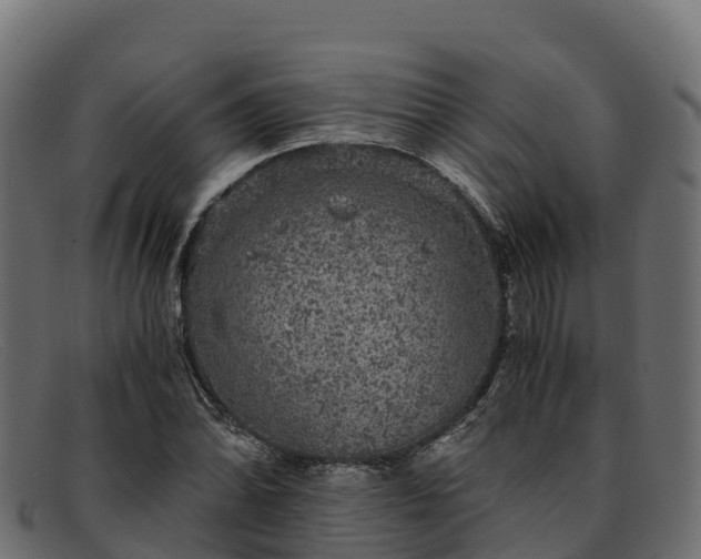 X0000091941070200709191415