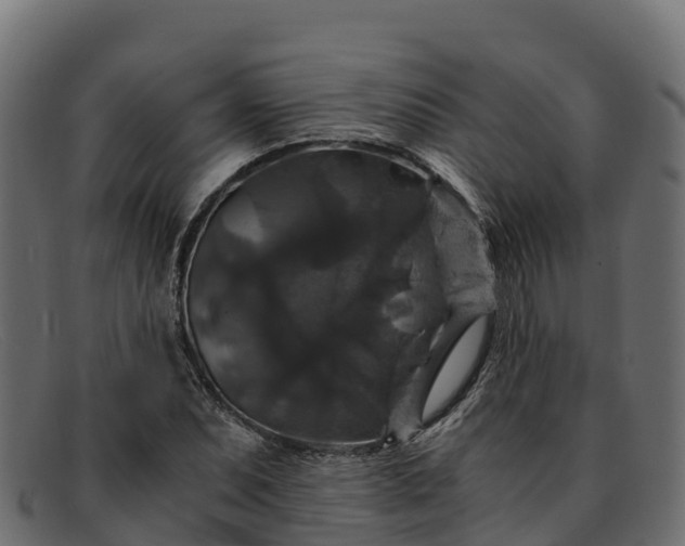 X0000091941071200709191415