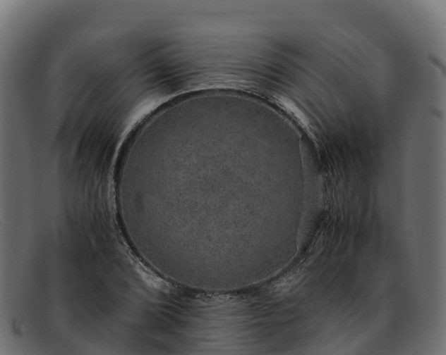 X0000091941072200709191415