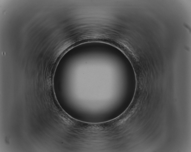 X0000091941073200709191415