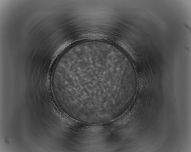 X0000091941074200709191415