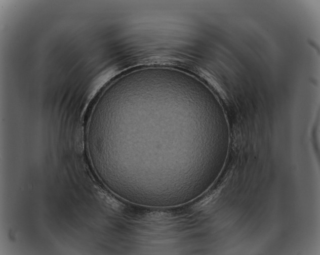 X0000091941075200709191415