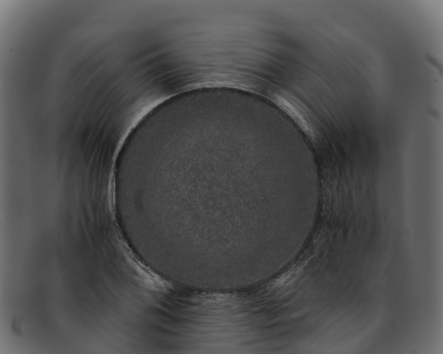 X0000091941076200709191415