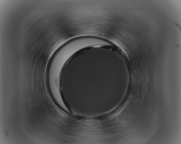 X0000091941077200709191415