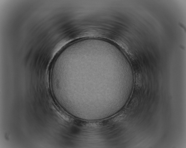 X0000091941078200709191415