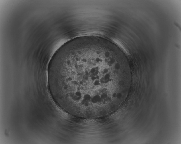 X0000091941079200709191415