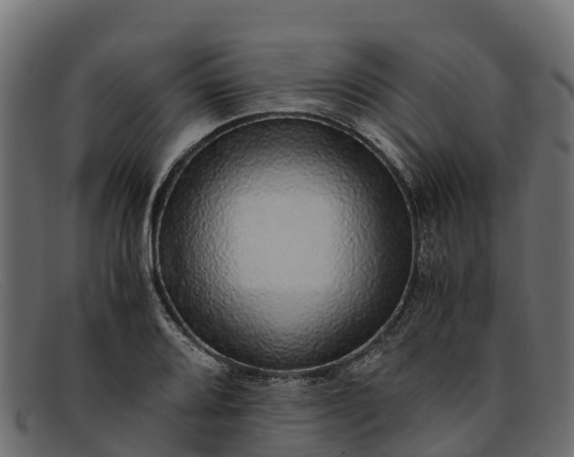 X0000091941080200709191415