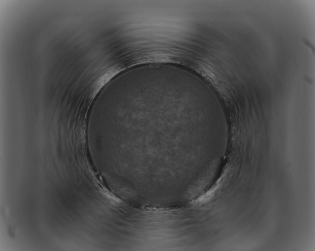 X0000091941081200709191415