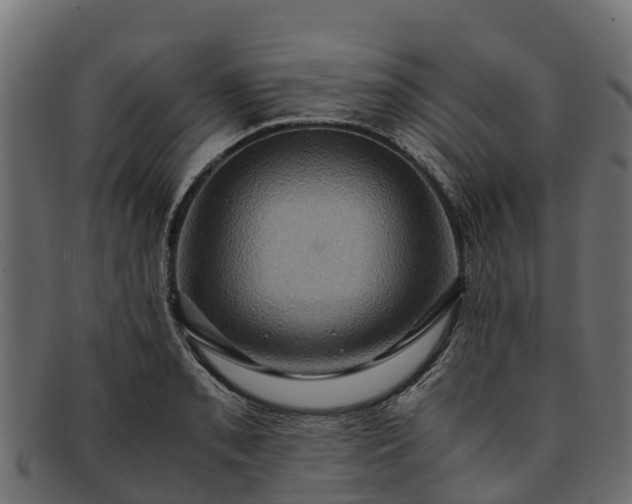 X0000091941085200709191415