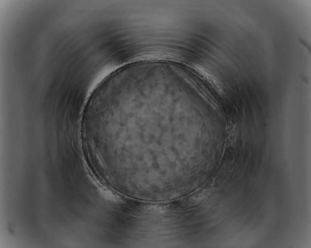 X0000091941086200709191415