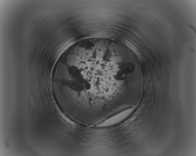 X0000091941087200709191415