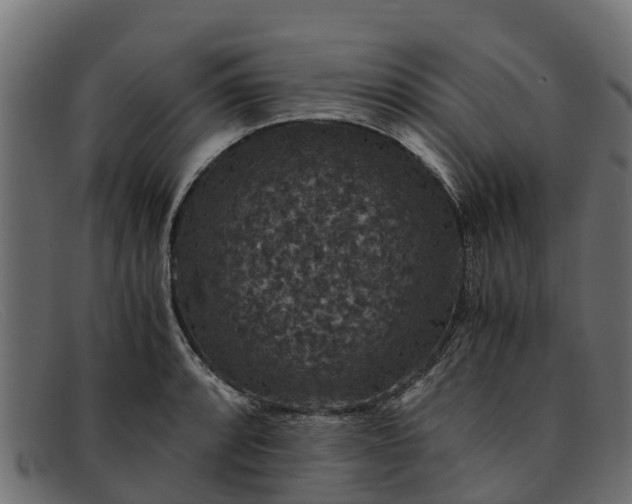 X0000091941088200709191415