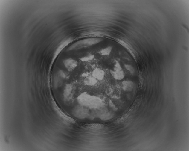 X0000091941090200709191415