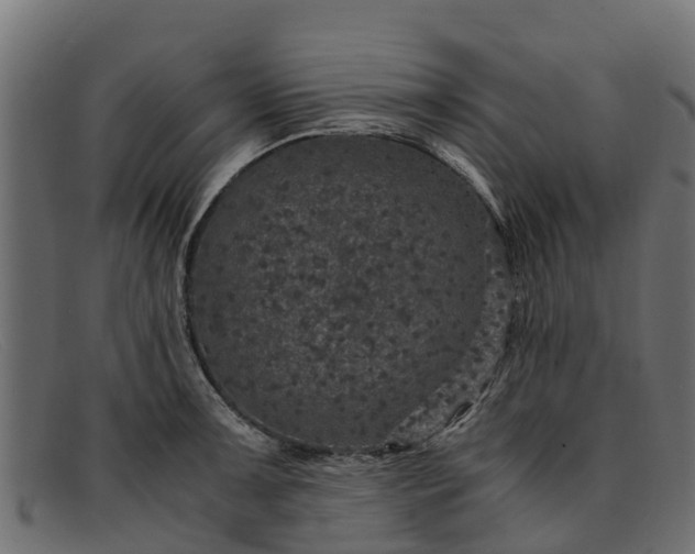 X0000091941091200709191415