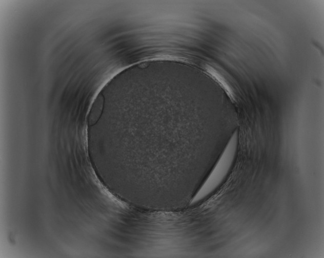 X0000091941092200709191415