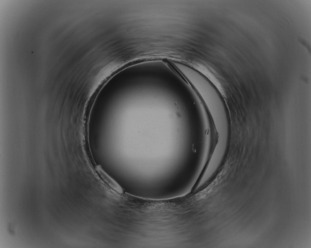 X0000091941093200709191415