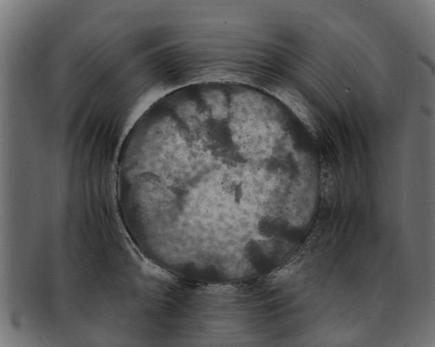 X0000091941094200709191415