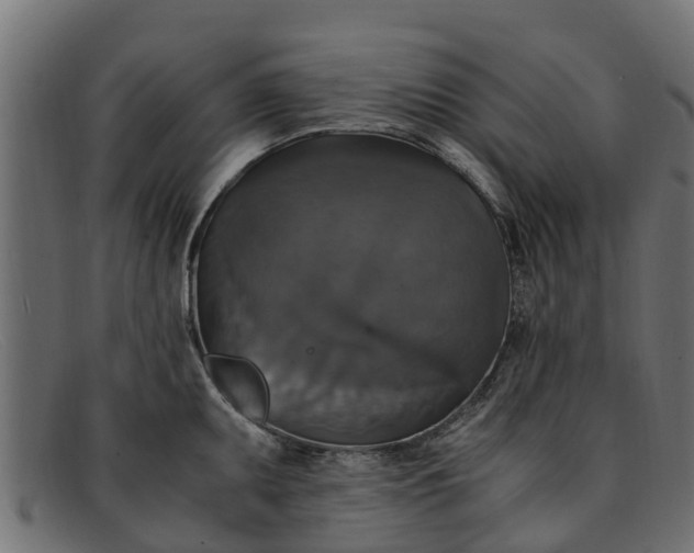 X0000091941095200709191415