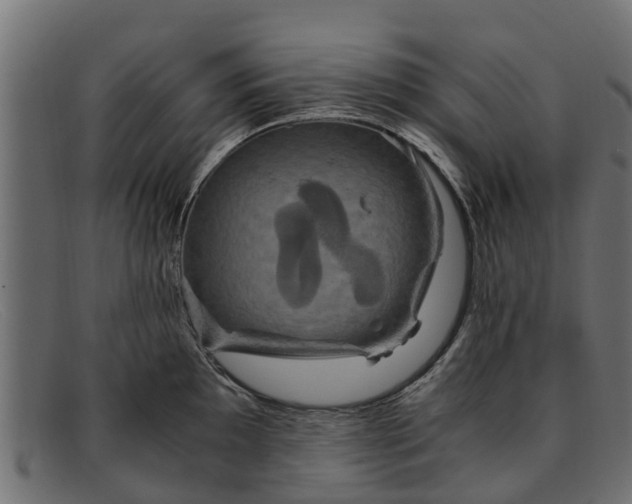 X0000091941097200709191415