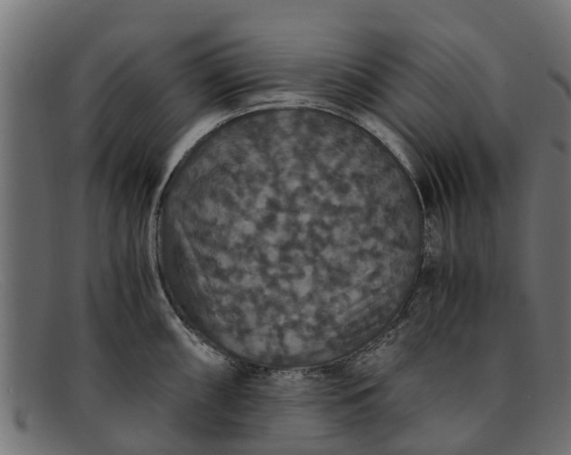 X0000091941098200709191415