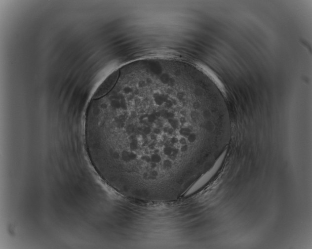 X0000091941099200709191415