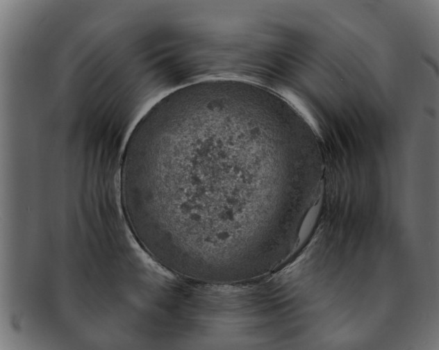 X0000091941100200709191415