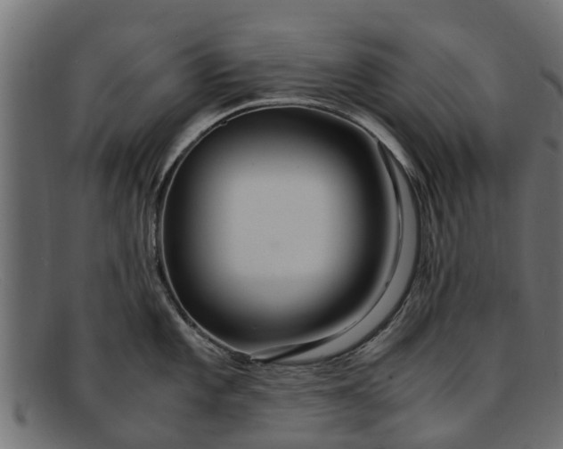 X0000091941101200709191415