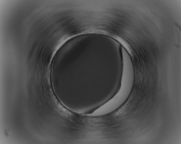 X0000091941102200709191415