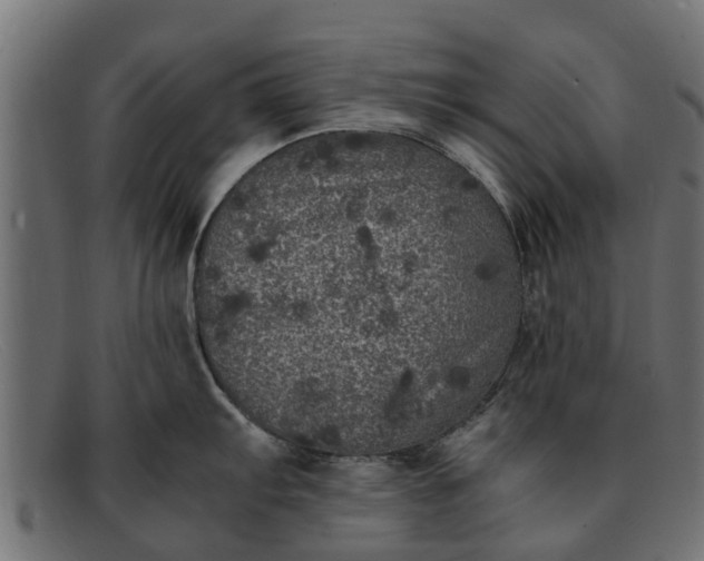 X0000091941103200709191415