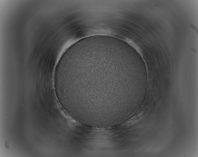 X0000091941104200709191415