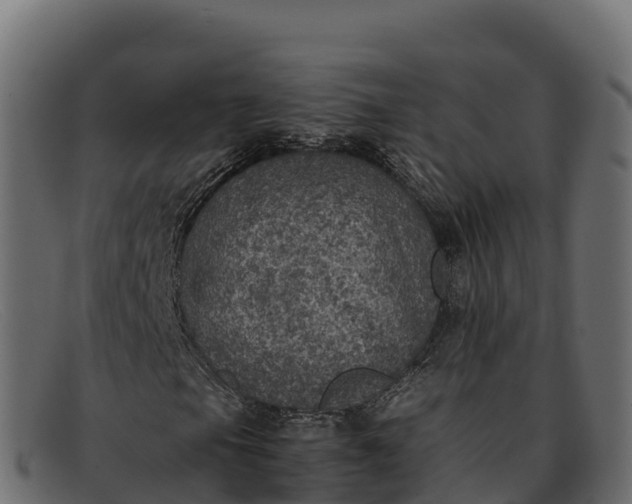 X0000091941105200709191414