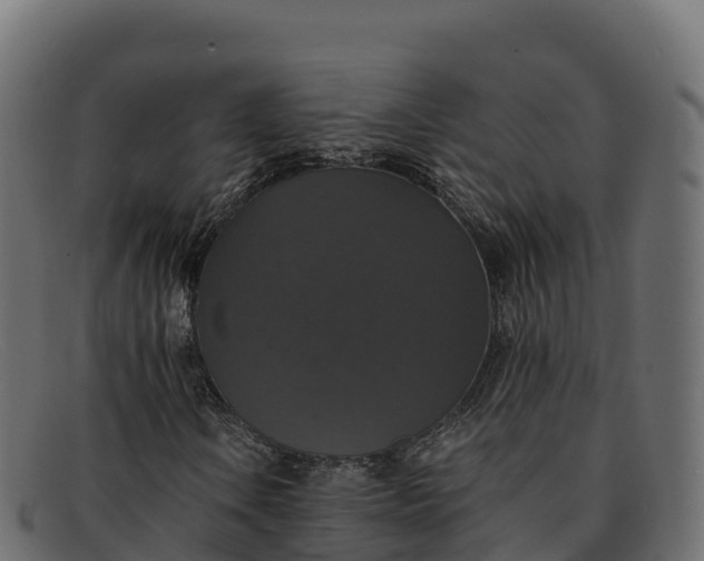 X0000091941106200709191414