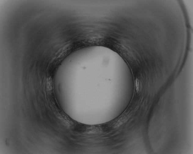 X0000091941107200709191414