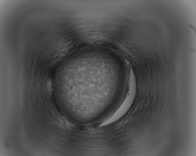 X0000091941108200709191414