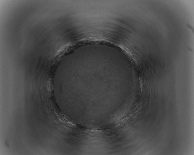 X0000091941110200709191414