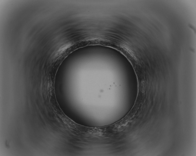 X0000091941111200709191414