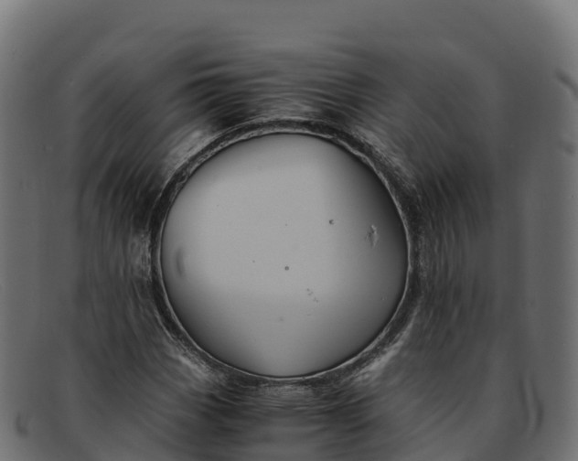 X0000091941113200709191414