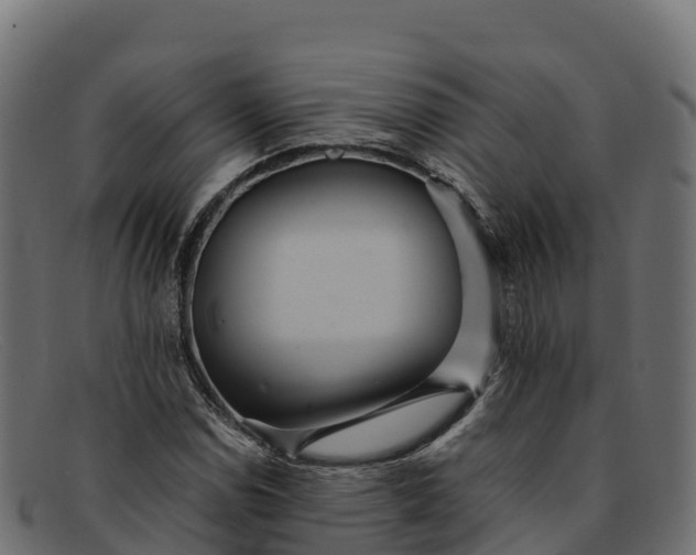 X0000091941114200709191414