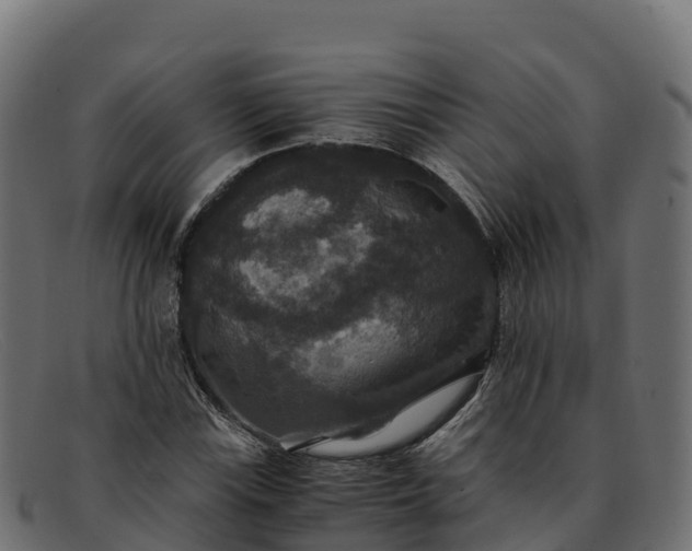 X0000091941115200709191414