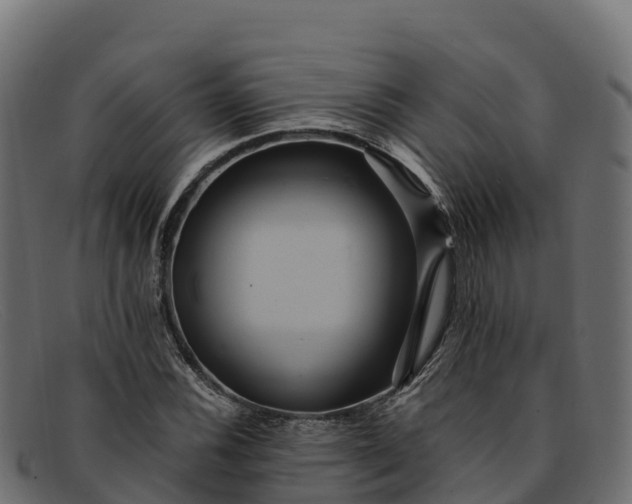 X0000091941116200709191414