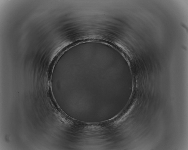 X0000091941117200709191415