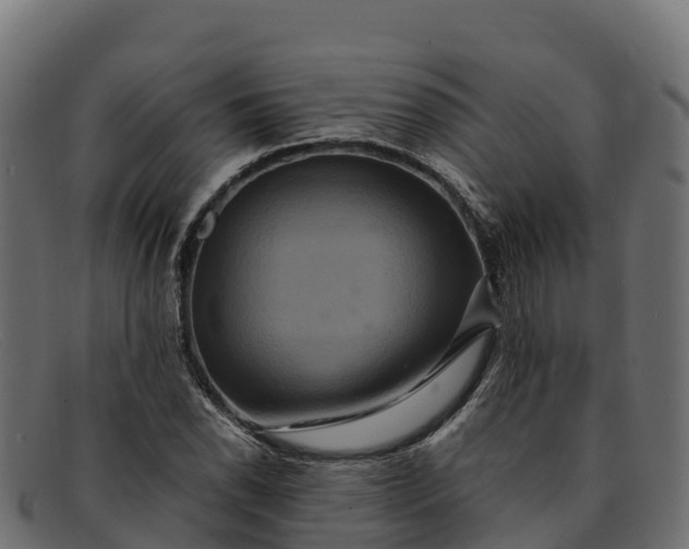 X0000091941118200709191415