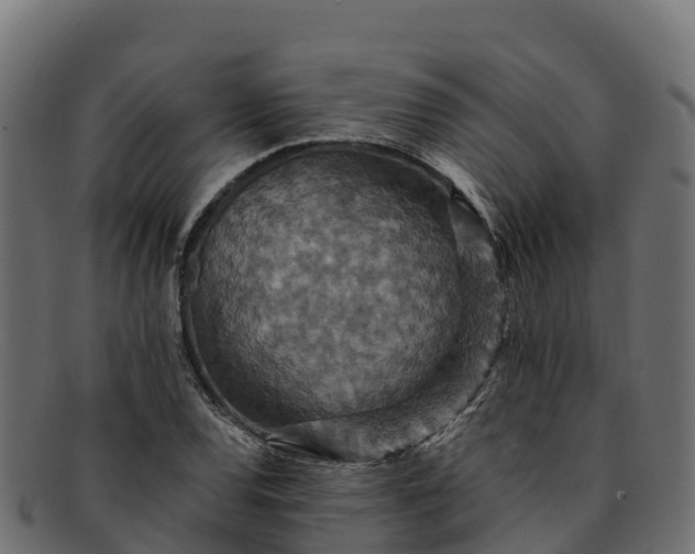 X0000091941120200709191415